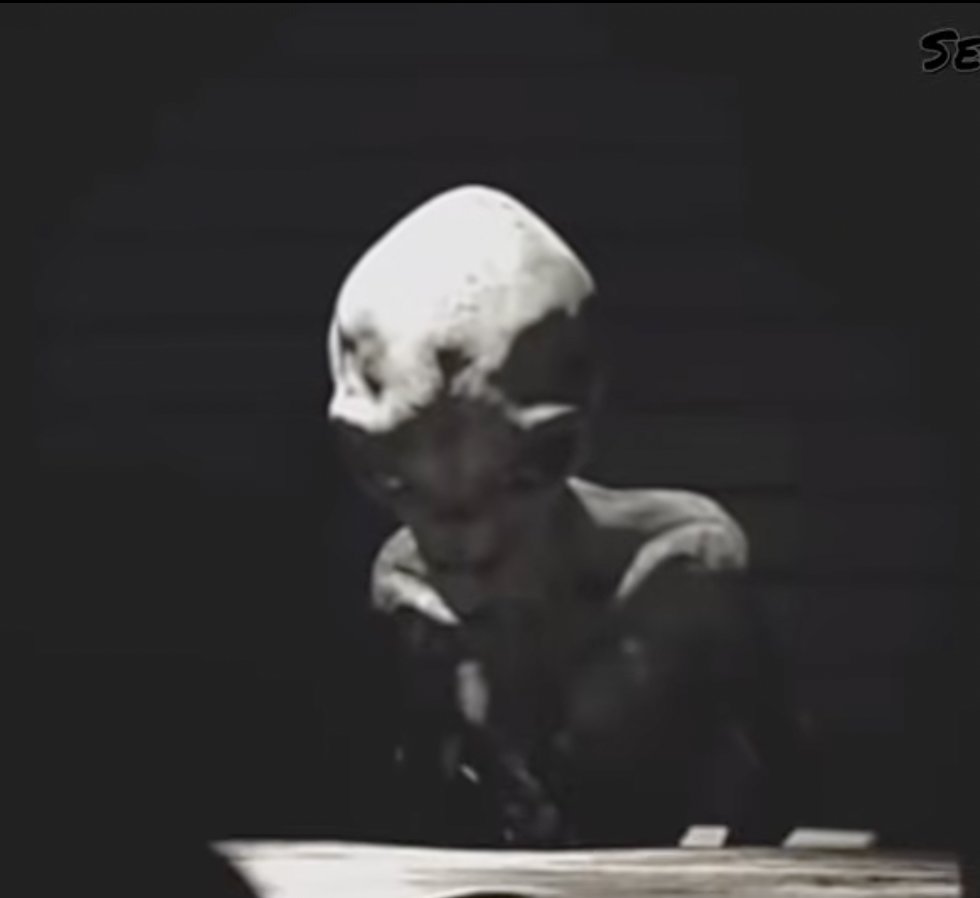 Alleged Alien Interview