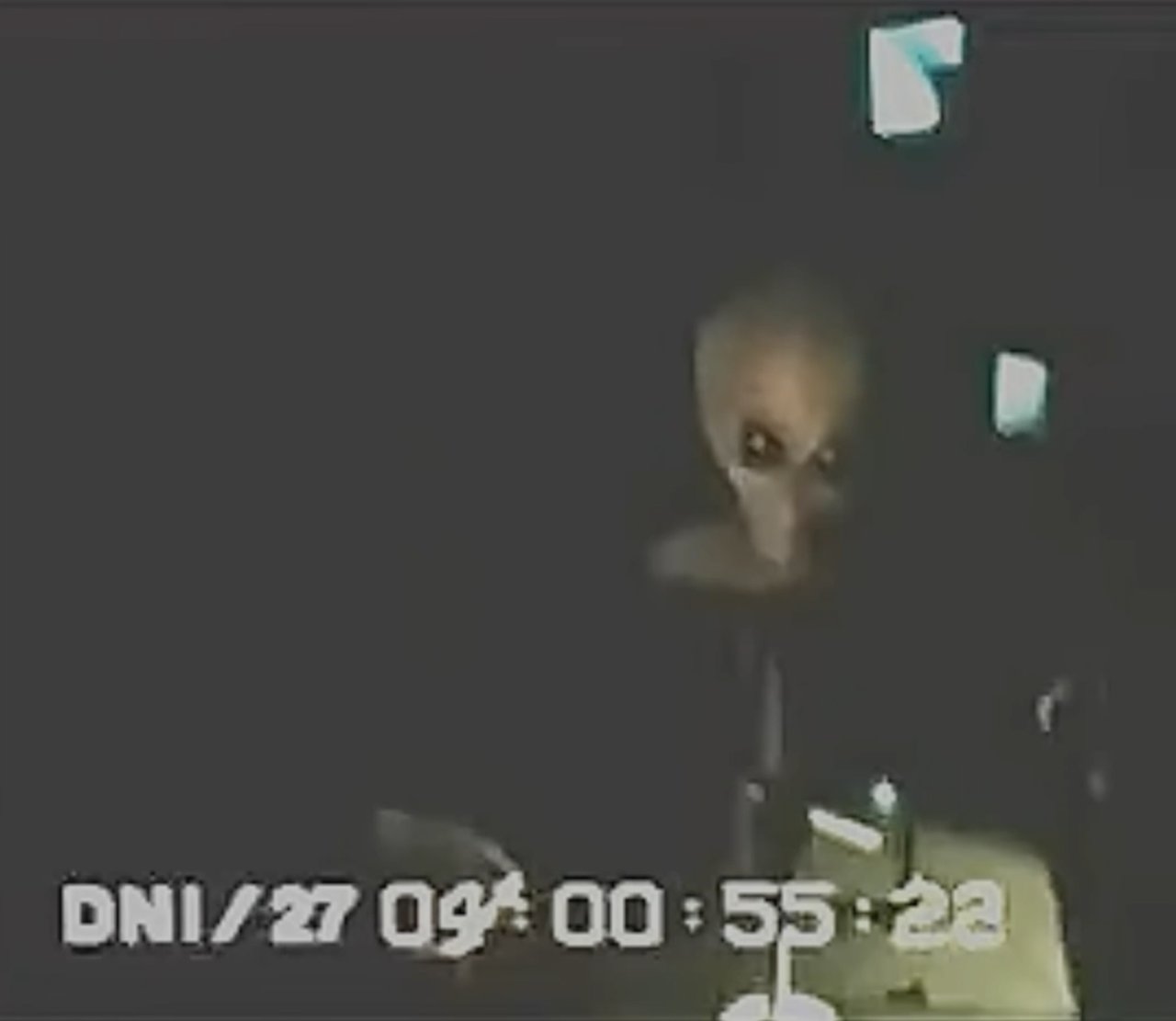 Victor Alien Interview (Alleged S4 Footage)